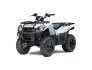 2022 Kawasaki Brute Force 300 for sale 201274675